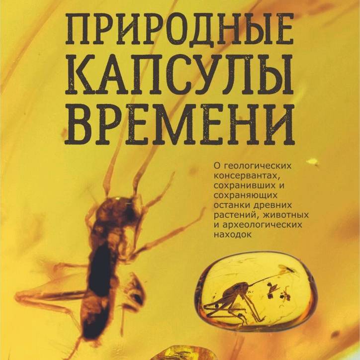 Природные капсулы времени