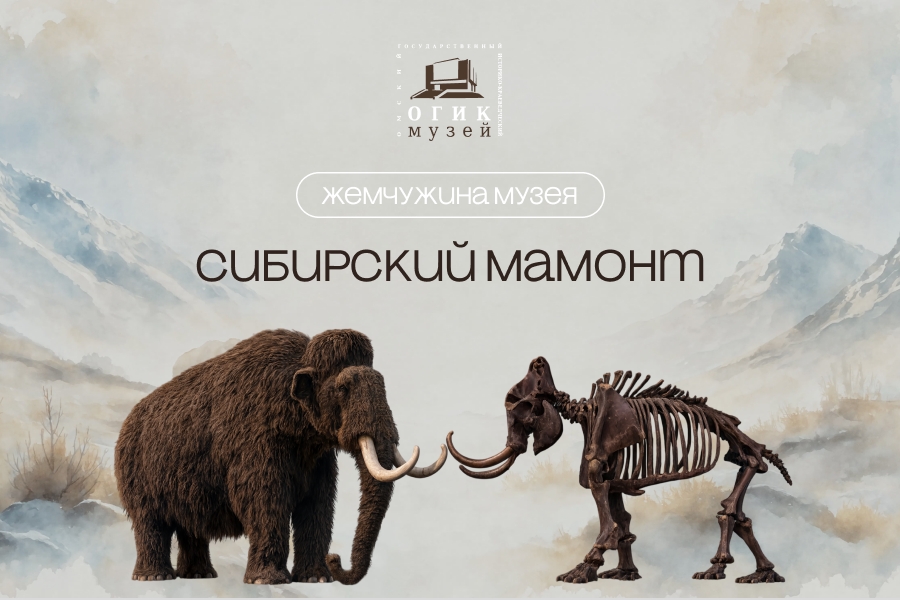 Самой природой так заведено