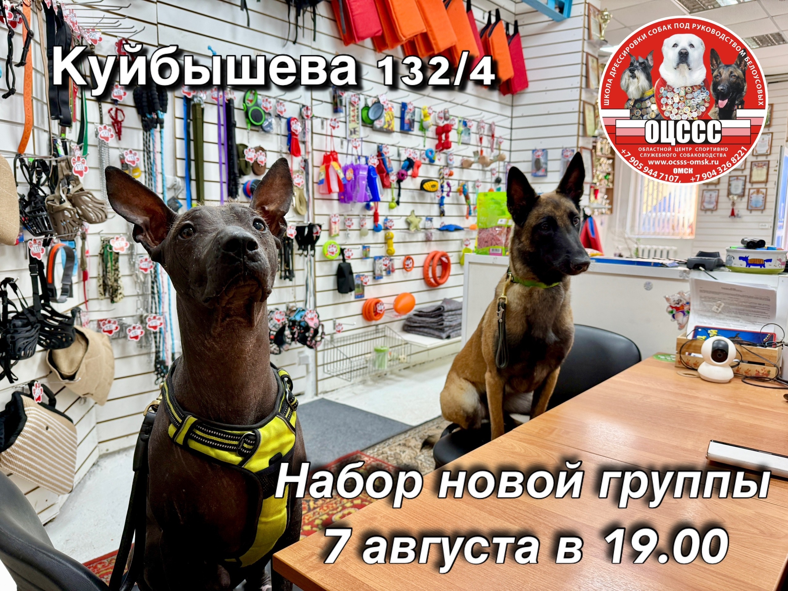 Организационное собрание (набор группы)